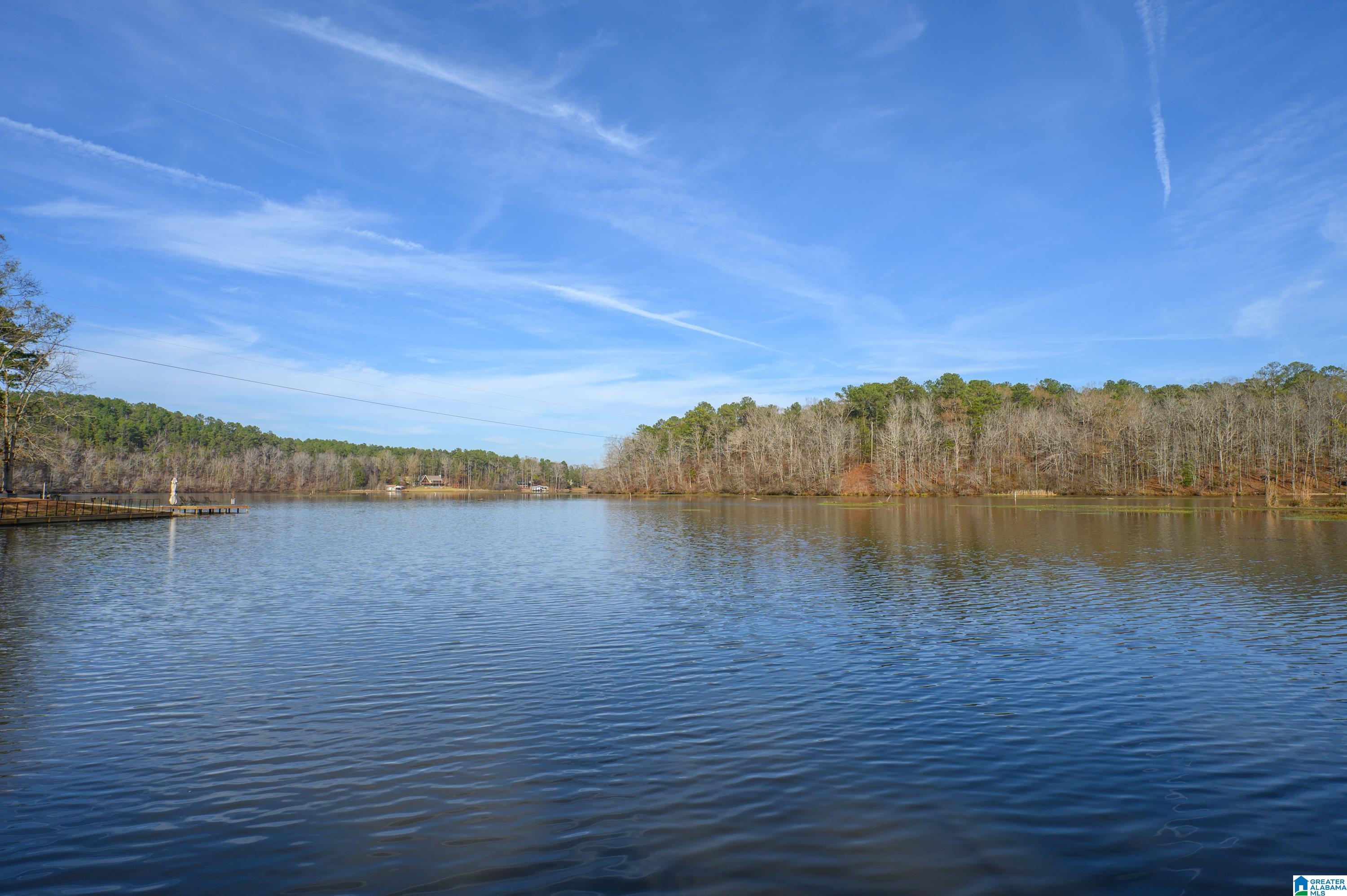 1310 White Oak Road Sylacauga, AL 35151 - Photo 43 of 57