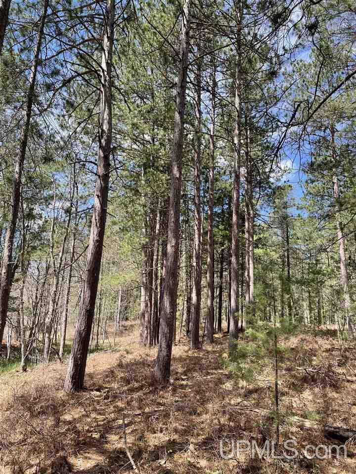 121 West Gordon Road Marquette, MI 49855 - Photo 3 of 14