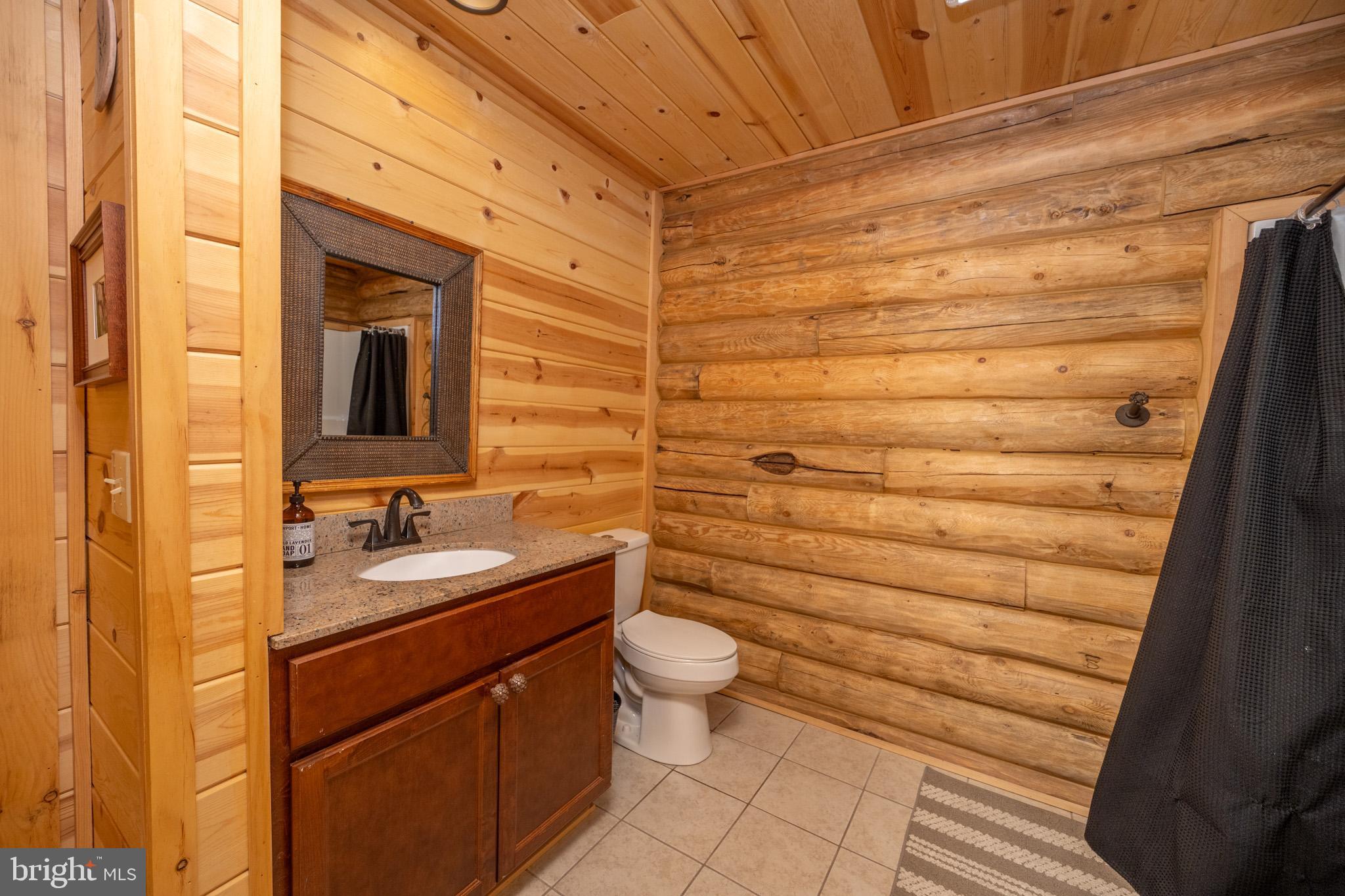 88 Gravelly Run Road McHenry, MD 21541 - Photo 34 of 79 a bathroom with a sink a toilet and shower