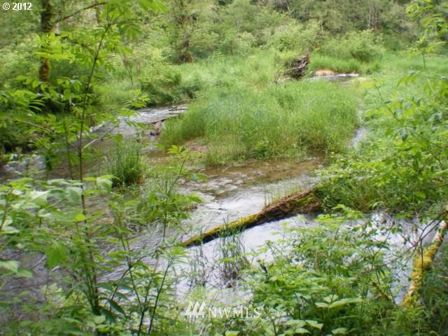 36110 Northeast Thompson Road Yacolt, WA 98675 - Photo 13 of 15 Gallery Image 13
