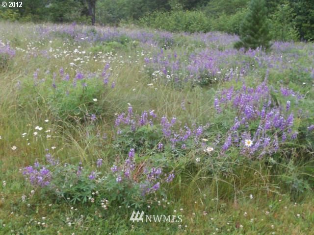 36110 Northeast Thompson Road Yacolt, WA 98675 - Photo 14 of 15 Gallery Image 14