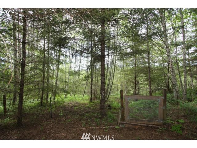 36110 Northeast Thompson Road Yacolt, WA 98675 - Photo 15 of 15 Gallery Image 15