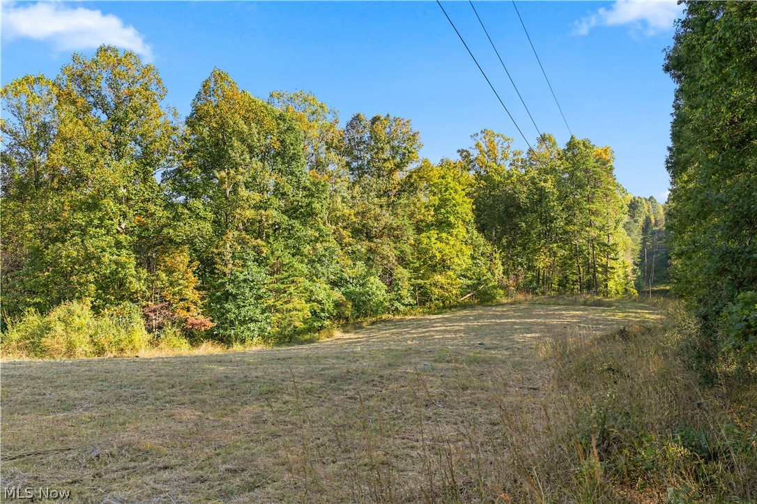 202 Mount Carmel Road Walker, WV 26180 - Photo 18 of 25 Gallery Image 18