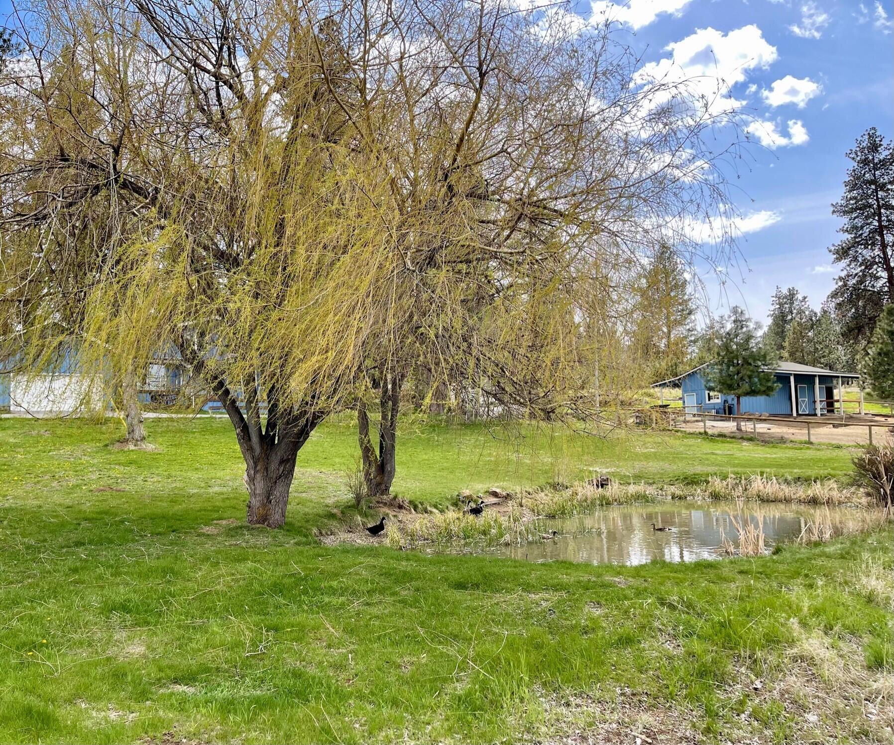 60400 Woodside Road Bend, OR 97702 - Photo 37 of 42 Pond in May