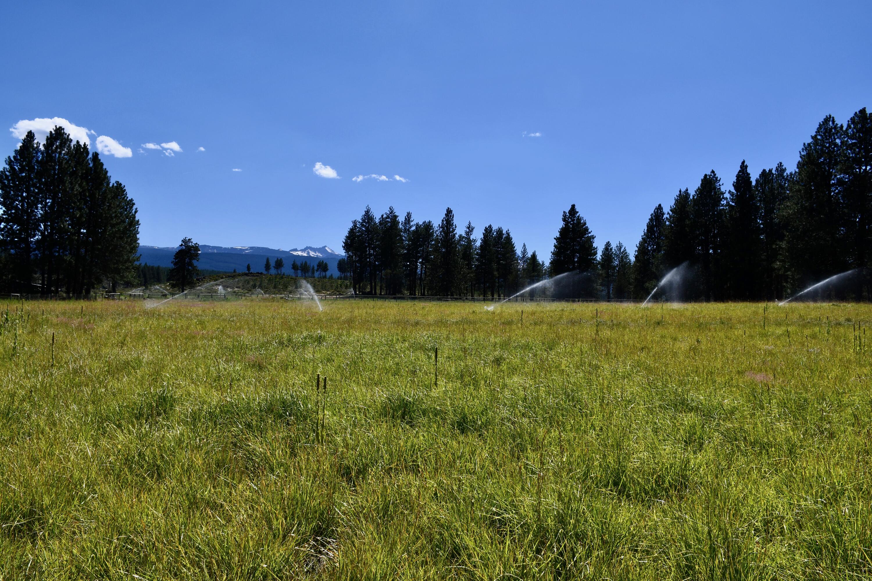 67500 Three Creek Road Sisters, OR 97759 - Photo 36 of 40 a view of open space with a field and trees