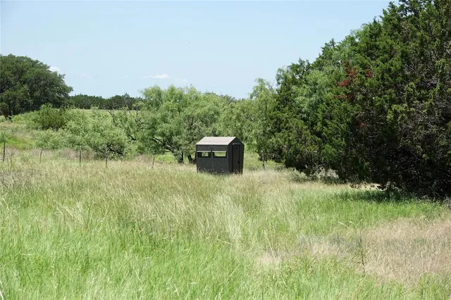 a backyard of a house with a yard and potted plants
