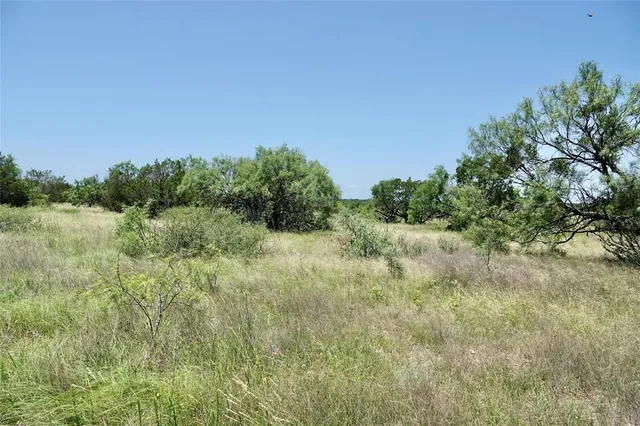 a view of a green field with lots of bushes