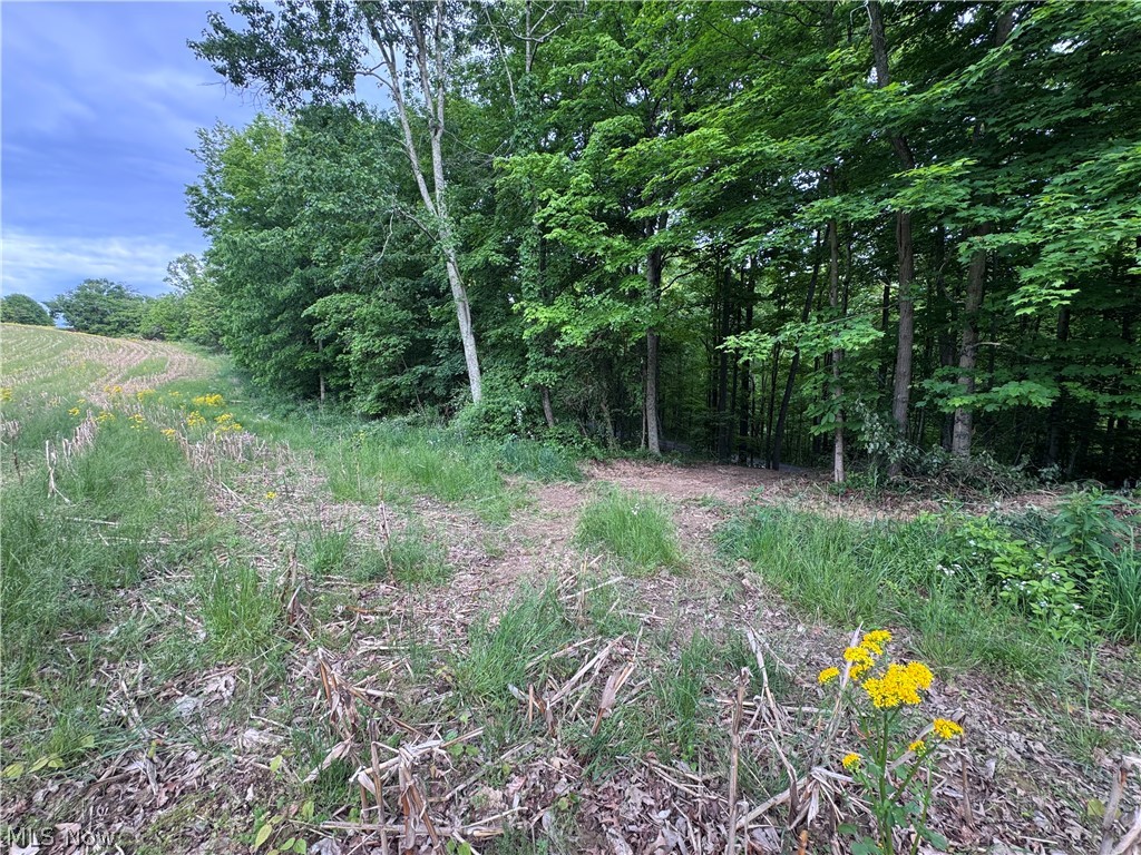 Hill Road, Unit 10 Waterford, OH 45786 - Photo 11 of 13
