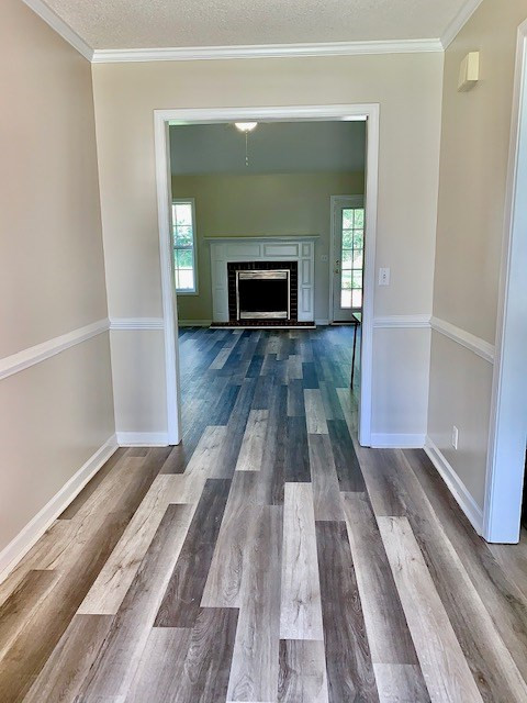 1475 Morris Way Drive Sumter, SC 29154 - Photo 3 of 35