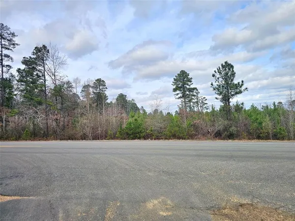 a view of road and trees