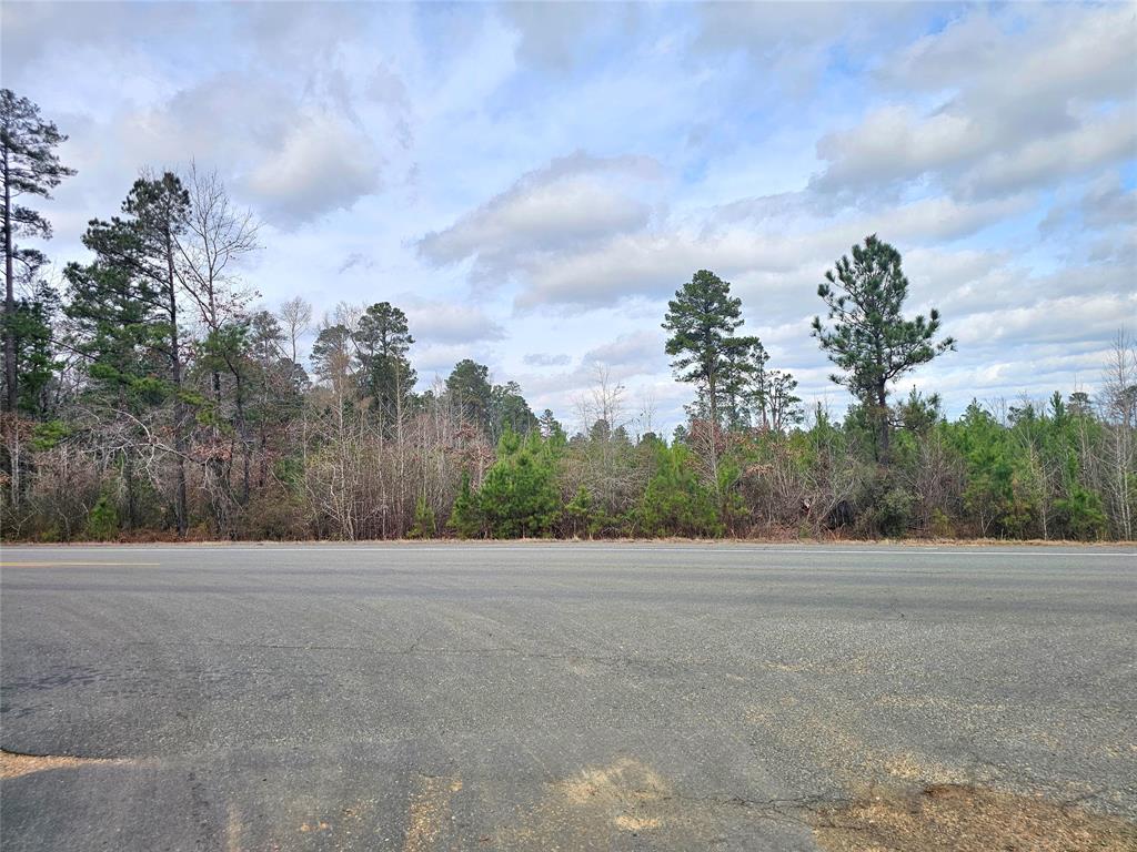0 La-2 Alt Haynesville, LA 71038 - Photo 6 of 10 a view of road and trees