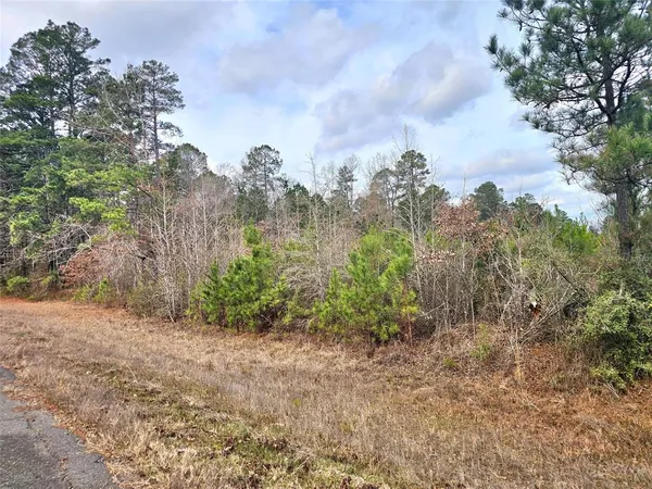 a view of a yard with plants and a large tree