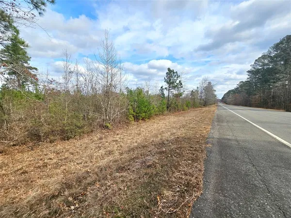 a view of a pathway with a yard