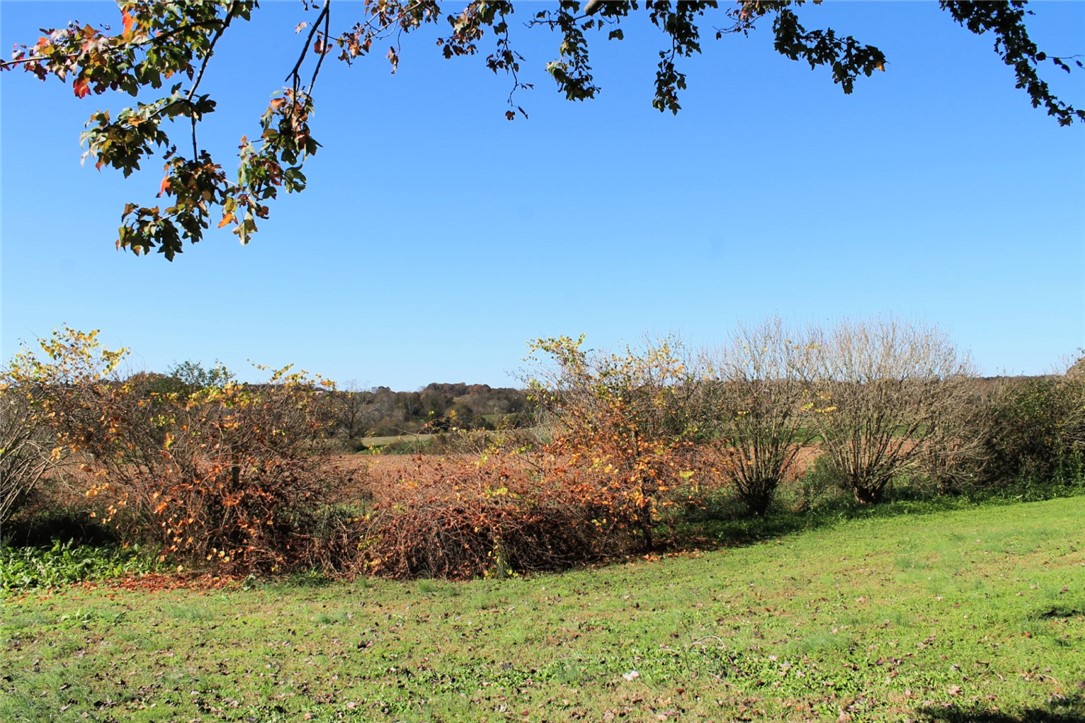 228 Cedar Lane Road Westminster, SC 29693 - Photo 13 of 43 Property line directly behind the house.