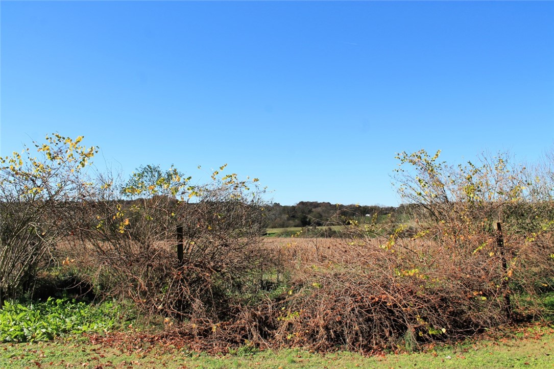 228 Cedar Lane Road Westminster, SC 29693 - Photo 42 of 43 Enjoy peace and quite on your unrestricted land.