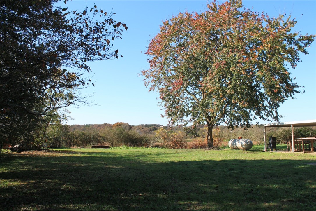 228 Cedar Lane Road Westminster, SC 29693 - Photo 10 of 43 The perfect place for your kids or furry friends t