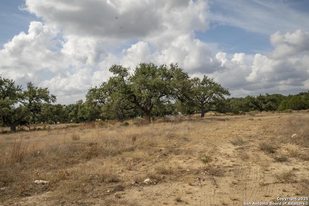 227 Mitchell Drive Spring Branch, TX 78070 - Photo 21 of 45 a view of a dry yard