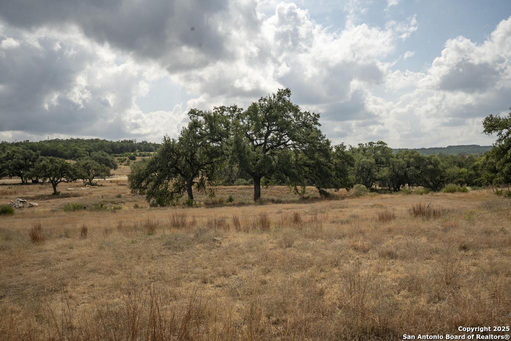 227 Mitchell Drive Spring Branch, TX 78070 - Photo 23 of 45 a view of a dry yard with trees