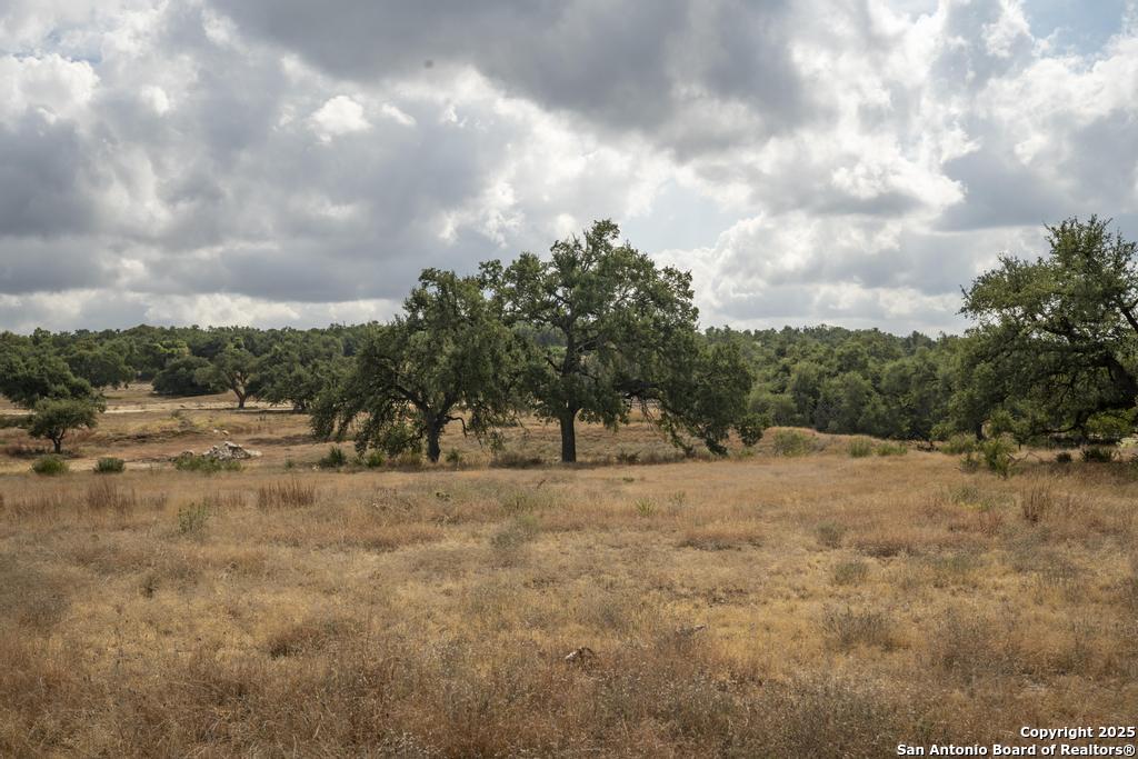 227 Mitchell Drive Spring Branch, TX 78070 - Photo 24 of 45 a view of a dry yard with trees