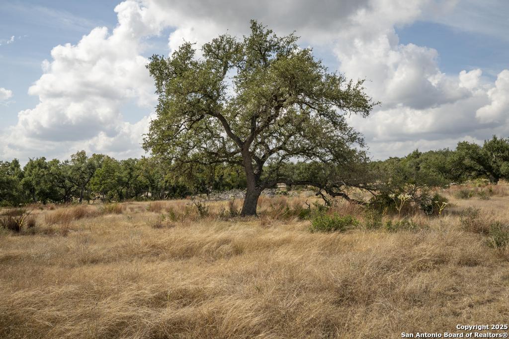 227 Mitchell Drive Spring Branch, TX 78070 - Photo 25 of 45 a view of a yard with trees