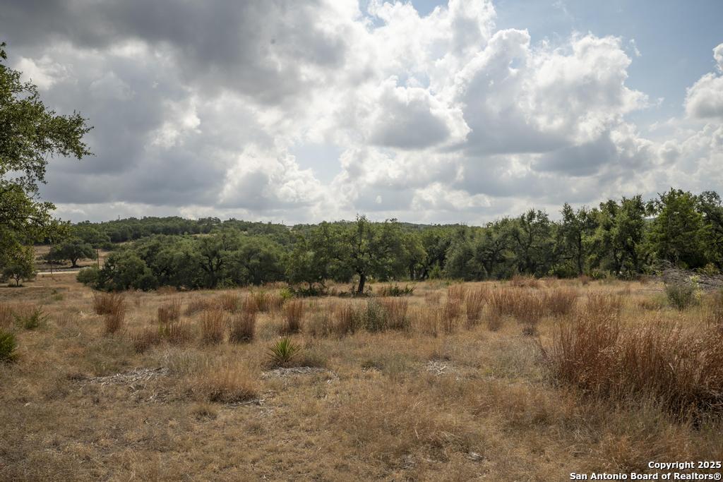 227 Mitchell Drive Spring Branch, TX 78070 - Photo 29 of 45 a view of lake with green space
