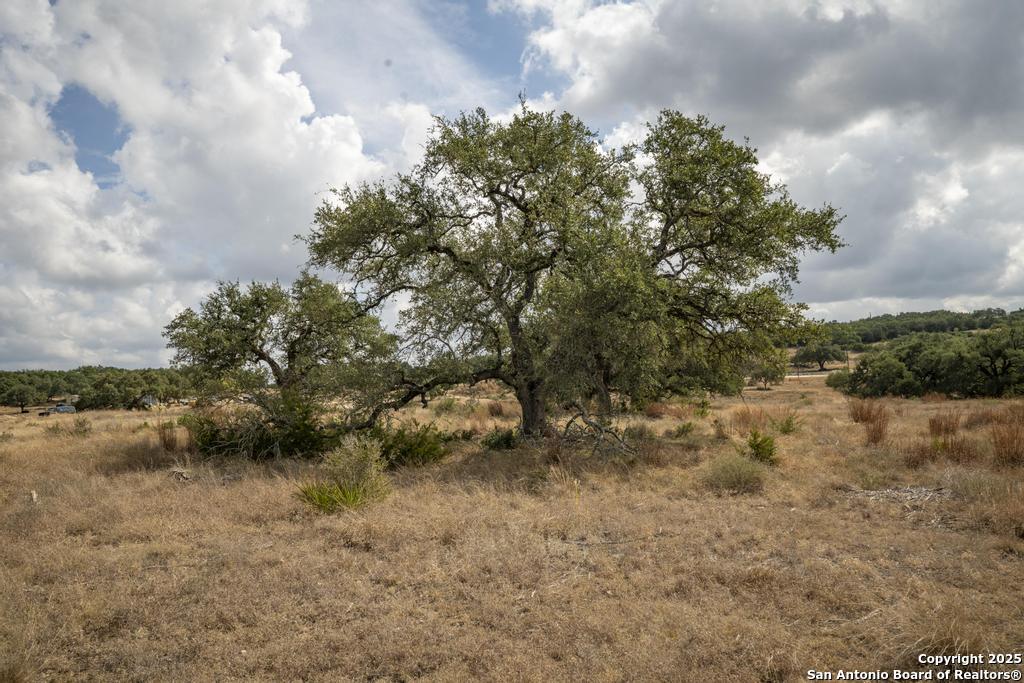 227 Mitchell Drive Spring Branch, TX 78070 - Photo 30 of 45 a view of a yard