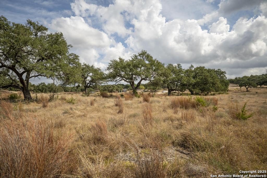 227 Mitchell Drive Spring Branch, TX 78070 - Photo 32 of 45 a view of a yard covered with snow