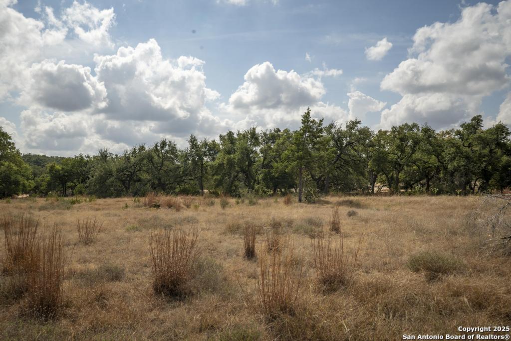 227 Mitchell Drive Spring Branch, TX 78070 - Photo 33 of 45 a view of a field of trees