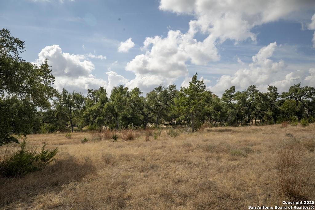 227 Mitchell Drive Spring Branch, TX 78070 - Photo 34 of 45 a view of a dry yard