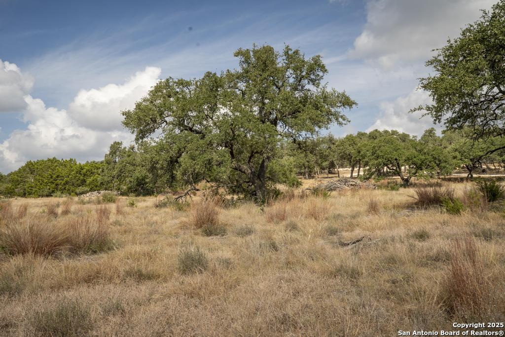227 Mitchell Drive Spring Branch, TX 78070 - Photo 36 of 45