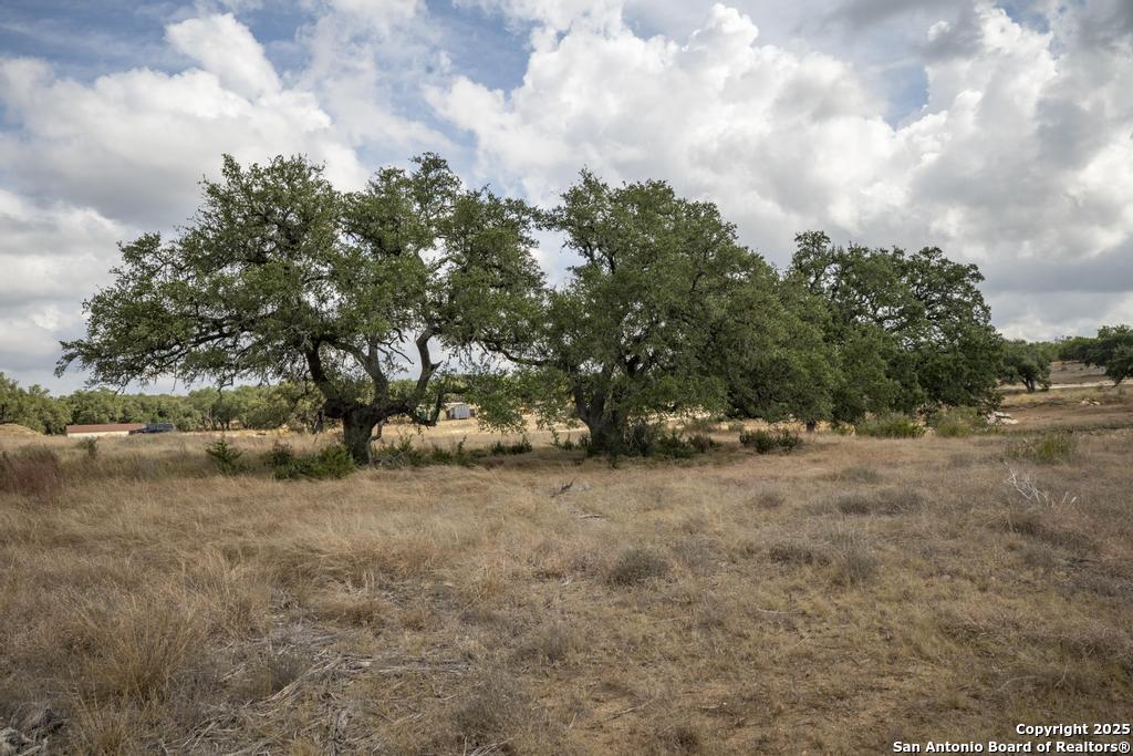227 Mitchell Drive Spring Branch, TX 78070 - Photo 37 of 45 a backyard of a house with lots of green space