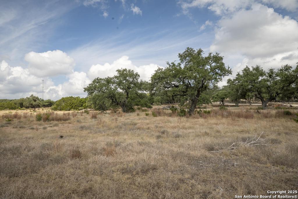 227 Mitchell Drive Spring Branch, TX 78070 - Photo 38 of 45 a view of a yard with an trees