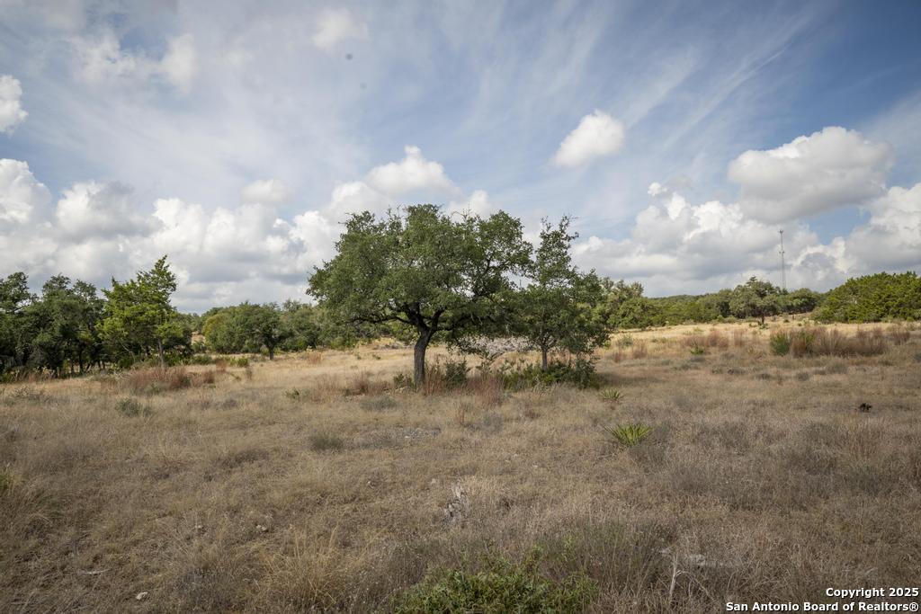 227 Mitchell Drive Spring Branch, TX 78070 - Photo 39 of 45 a view of a dry yard with lots of green space