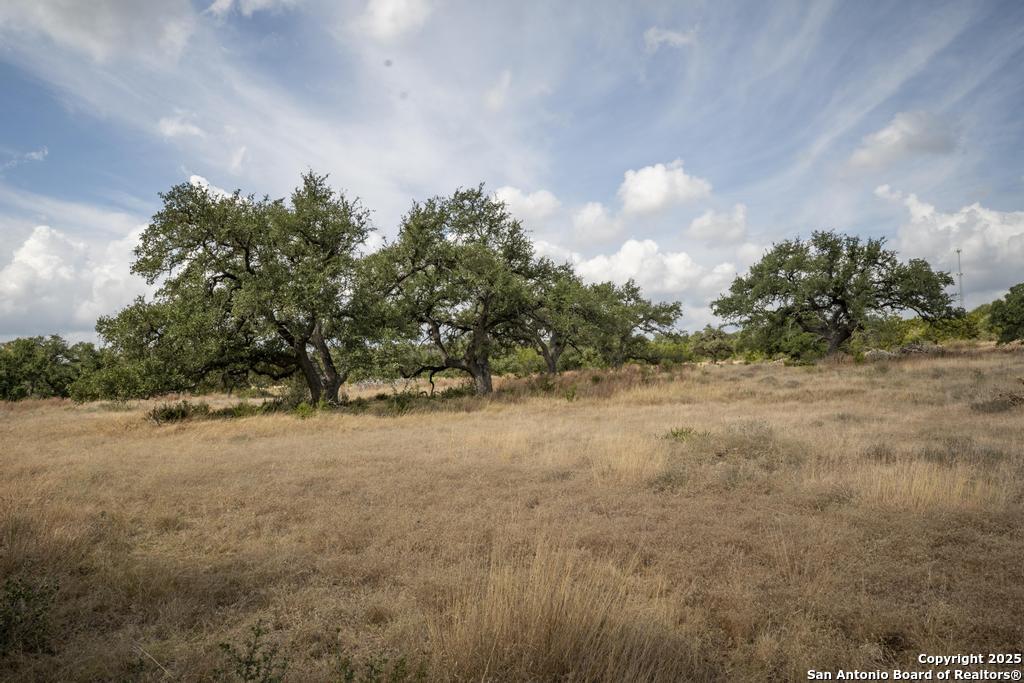 227 Mitchell Drive Spring Branch, TX 78070 - Photo 42 of 45 a view of a yard with a tree