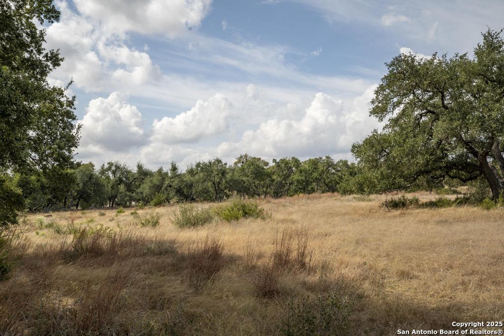 227 Mitchell Drive Spring Branch, TX 78070 - Photo 43 of 45 a view of a lake view