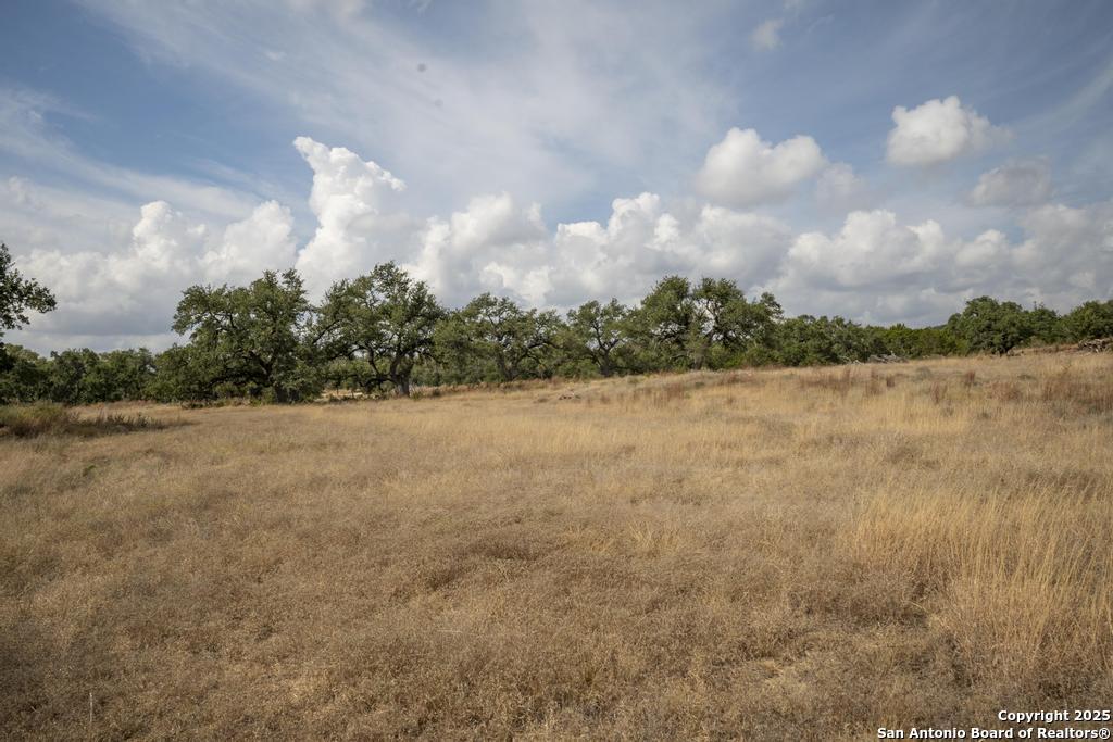227 Mitchell Drive Spring Branch, TX 78070 - Photo 44 of 45 a view of outside space and a lake view