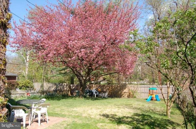 4221 Wickford Road Baltimore, MD 21210 - Photo 3 of 16 Back yard