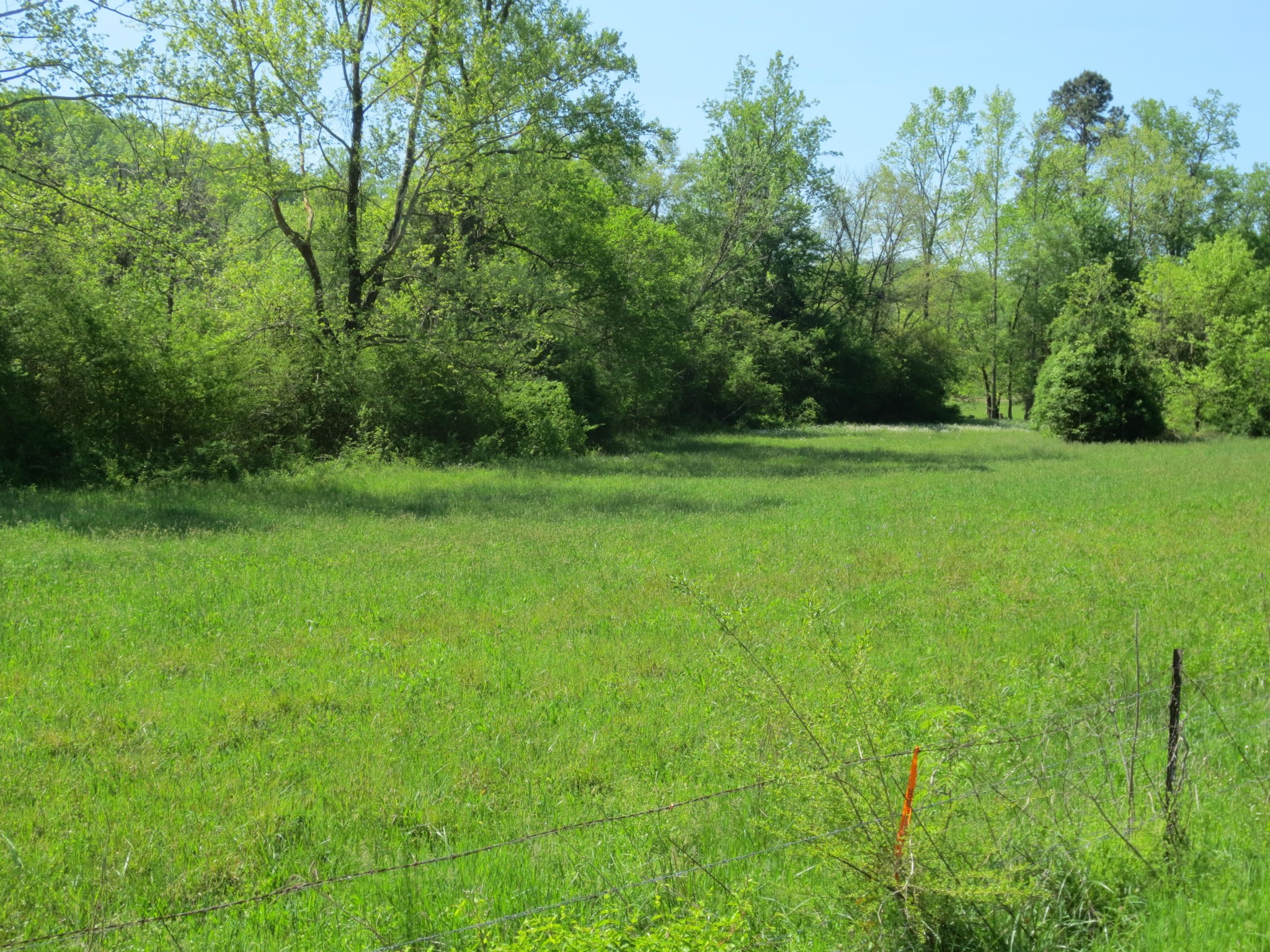 14 North No Pone Valley Road Decatur, TN 37322 - Photo 1 of 4