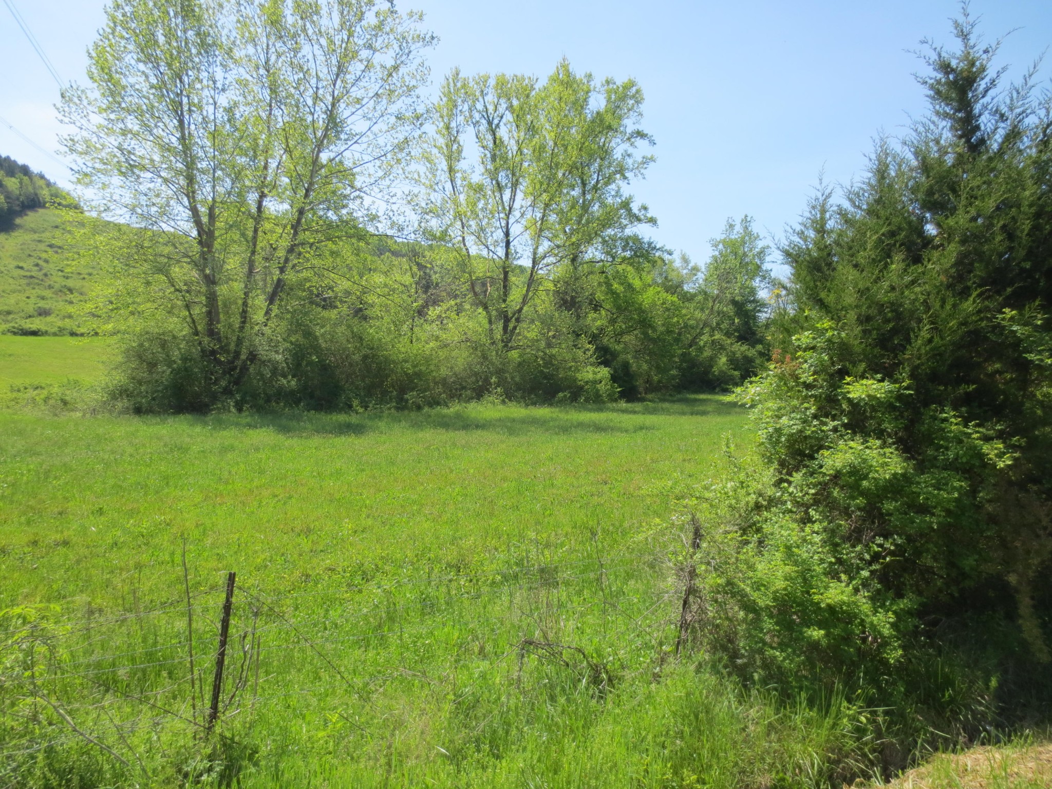 14 North No Pone Valley Road Decatur, TN 37322 - Photo 2 of 4