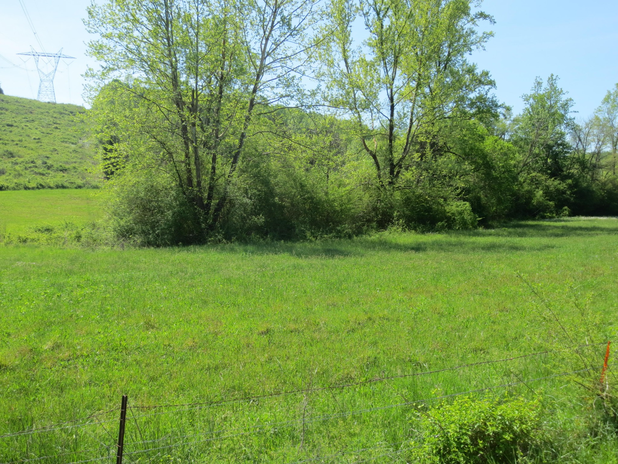 14 North No Pone Valley Road Decatur, TN 37322 - Photo 3 of 4