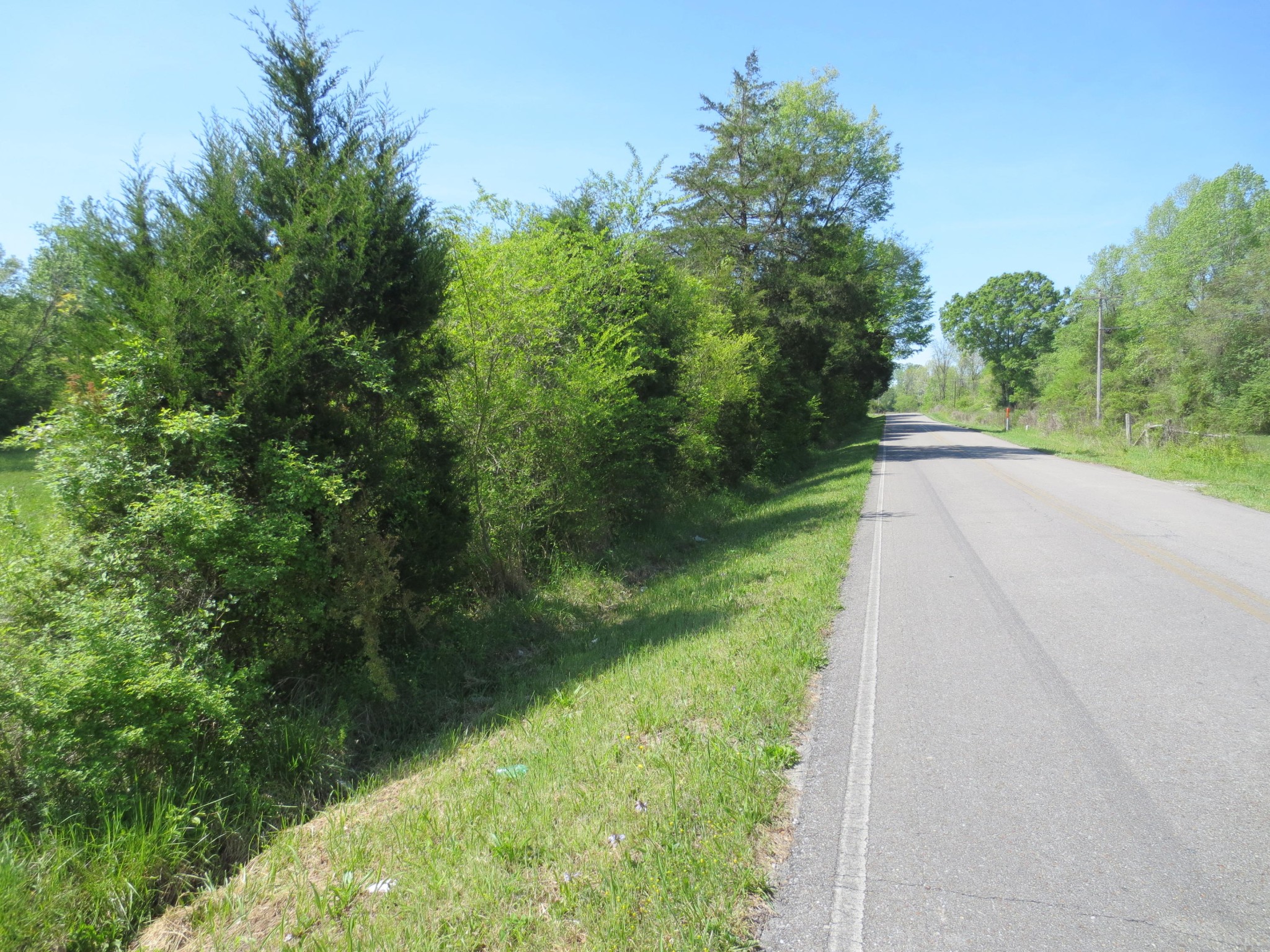 14 North No Pone Valley Road Decatur, TN 37322 - Photo 4 of 4