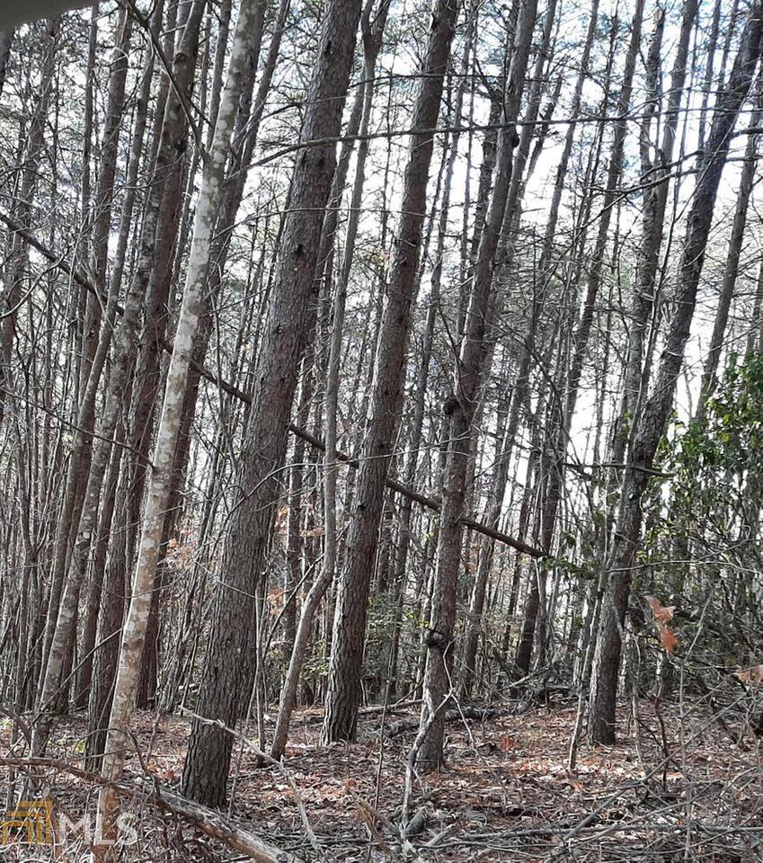 Lot 79 Icy Lane Blue Ridge, GA 30513 - Photo 1 of 1