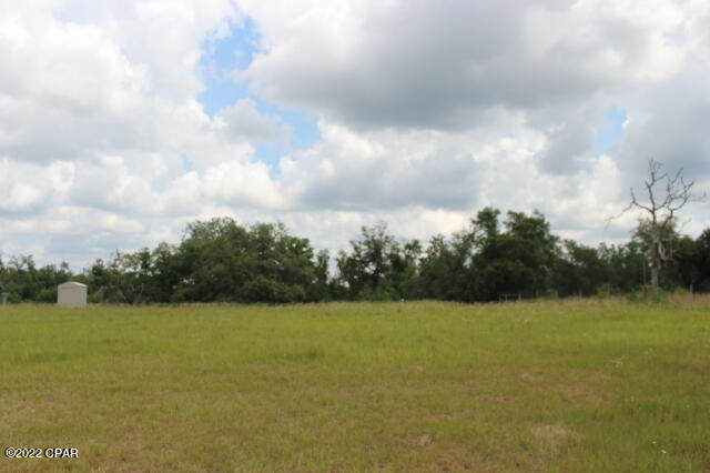 2 Pike Pond Road Chipley, FL 32428 - Photo 9 of 87