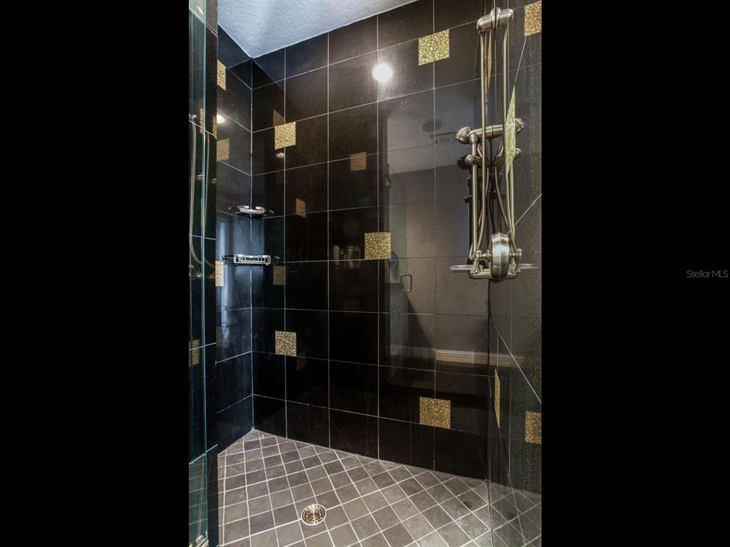 3507 Bayshore Boulevard, Unit 1202 Tampa, FL 33629 - Photo 40 of 68 a bathroom with a shower
