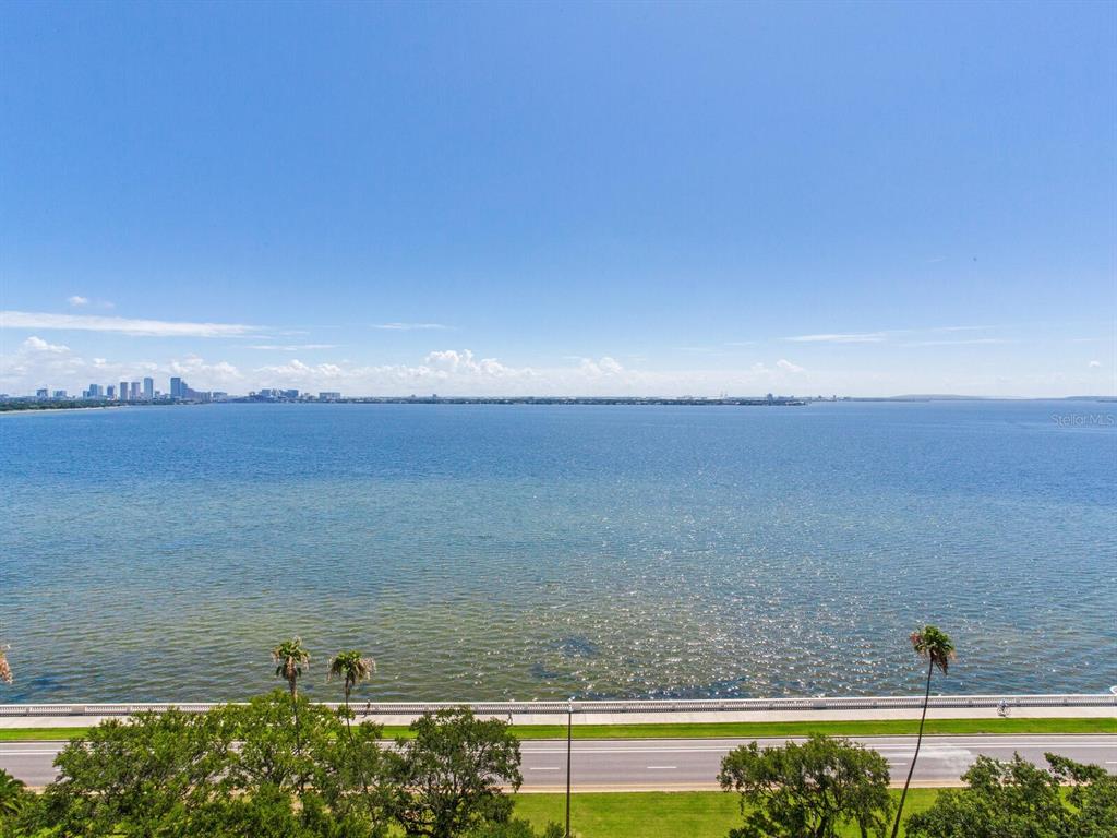 3507 Bayshore Boulevard, Unit 1202 Tampa, FL 33629 - Photo 50 of 68