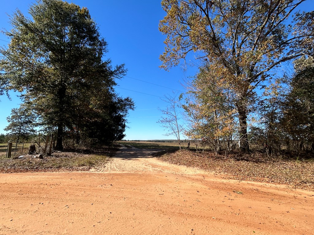 62/ Cty Road Coleman, GA 39836 - Photo 8 of 58