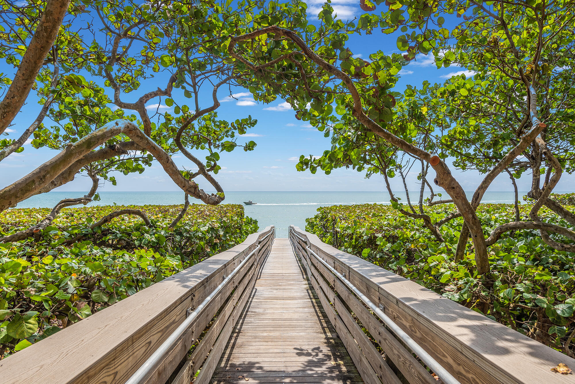 1660 Florida A1A, Unit 252 Jupiter, FL 33477 - Photo 31 of 44 MIB_4093