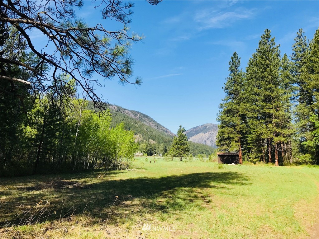 19 Deer Run Road Winthrop, WA 98862 - Photo 1 of 20 Gallery Image 1