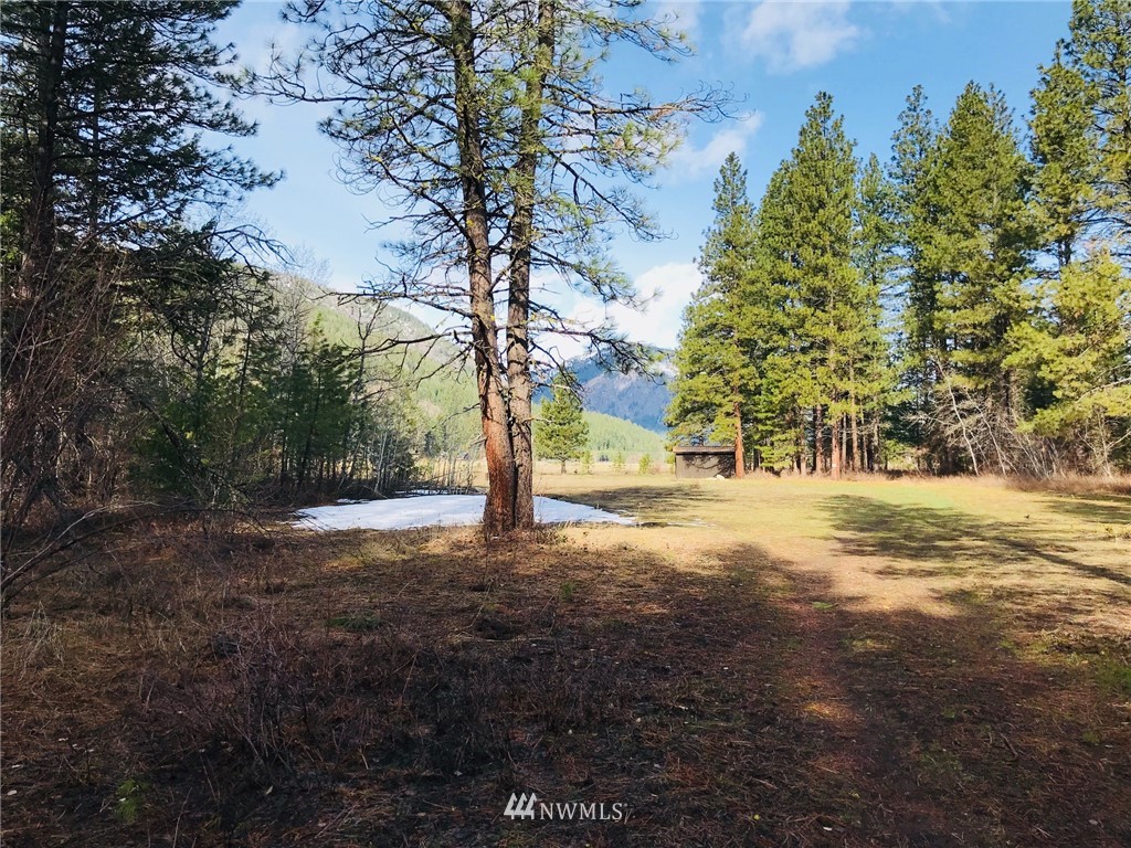 19 Deer Run Road Winthrop, WA 98862 - Photo 11 of 20 Gallery Image 11
