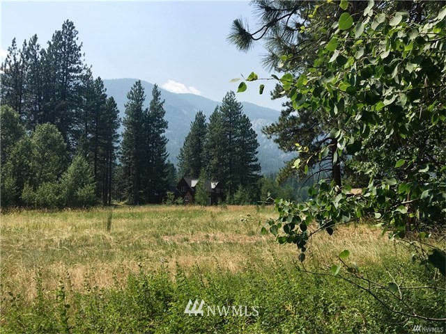 19 Deer Run Road Winthrop, WA 98862 - Photo 16 of 20 Gallery Image 16